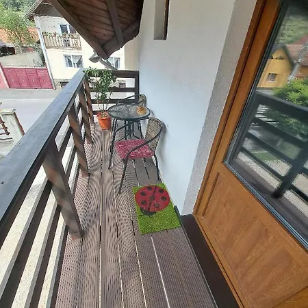 Villa Casa Doi Crai Zarnesti